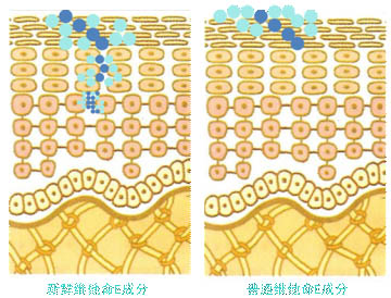 巴黎欧莱雅清润深透锁水精华凝露新鲜上市