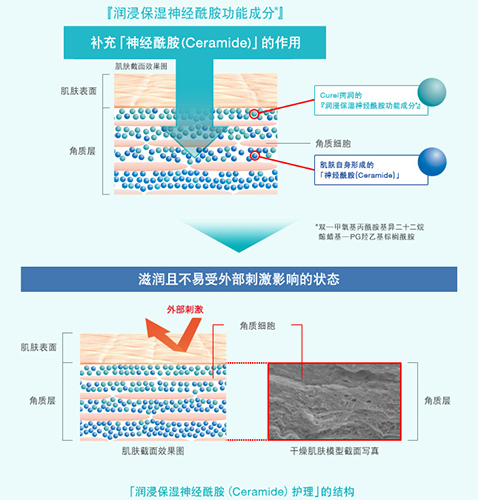 当前图片注释