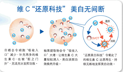 FANCL发现，在美白淡斑的过程中，大量的维生素C会氧化失效；黑色素团的浓度越高，消耗的维生素C越多，这样，一次补充的维生素C精华，就无法持续、均衡地发挥功效。FANCL研创出美白“还原科技”，通过补充水解橄榄叶