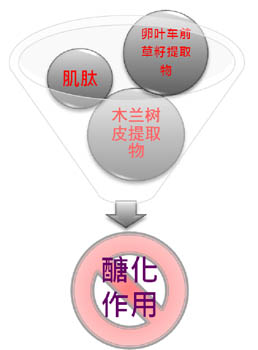     你是否有这样的困扰呢?无论涂抹任何的美白产品，做足防晒工作，整个人看起来还是黄蜡蜡的，那是因为没有找到真正让肌肤泛黄的元凶——醣化！当我们摄取过量糖分而无法为身体所吸收时，醣分子便附着在胶原纤维上